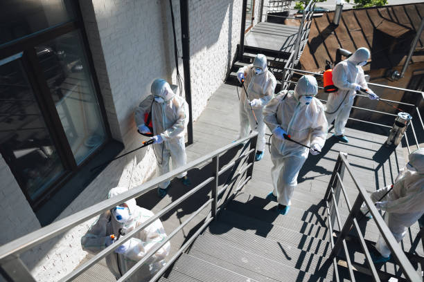 Best Mold Odor Removal Services  in Sun Prairie, MT