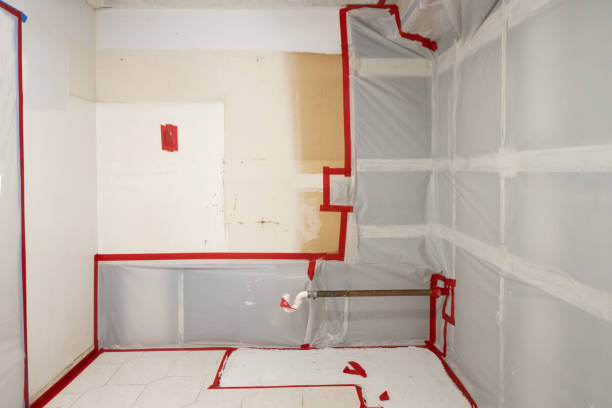Best Mold-Related Health Consultation  in Sun Prairie, MT