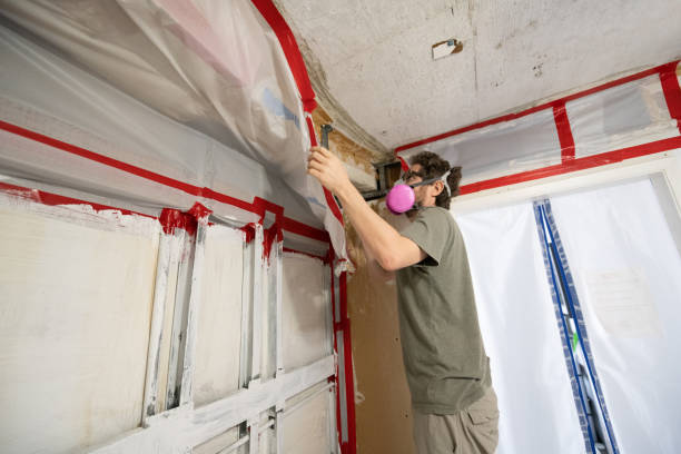 Best Commercial Mold Inspection  in Sun Prairie, MT
