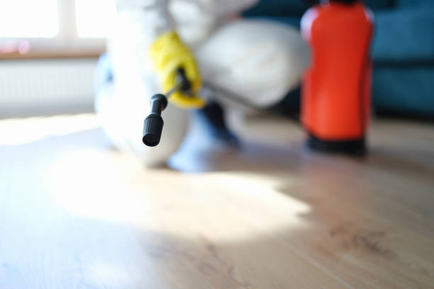 Best Mold Documentation for Insurance Claims  in Sun Prairie, MT